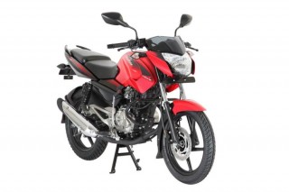 Bajaj Pulsar 135LS Passion Red : New Decals for 2012