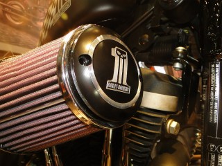 Harley Davidson Iron 883 at the 11th Auto Expo 2012 : Number One Skull, Heavy Breather