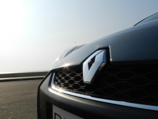 Renault Pulse : Honeycomb pattern grille inset