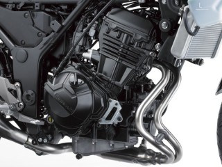 Kawasaki Ninja 250 Engine 02