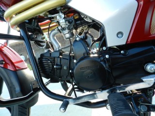 Mahindra 2 Wheelers Pantero Centuro Unveiling : Engine Left