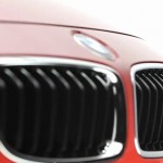 2012 BMW 3 Series : Kidney Bars