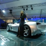 Chevrolet Corvette Stingray at the 11th Auto Expo 2012 : Rear