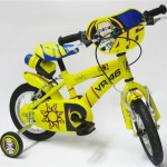 Vrbike1