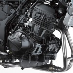 Kawasaki Ninja 300 Engine 02